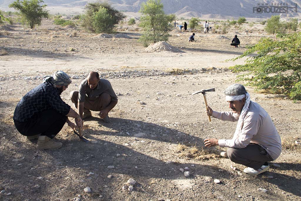 تصویر وجود ندارد