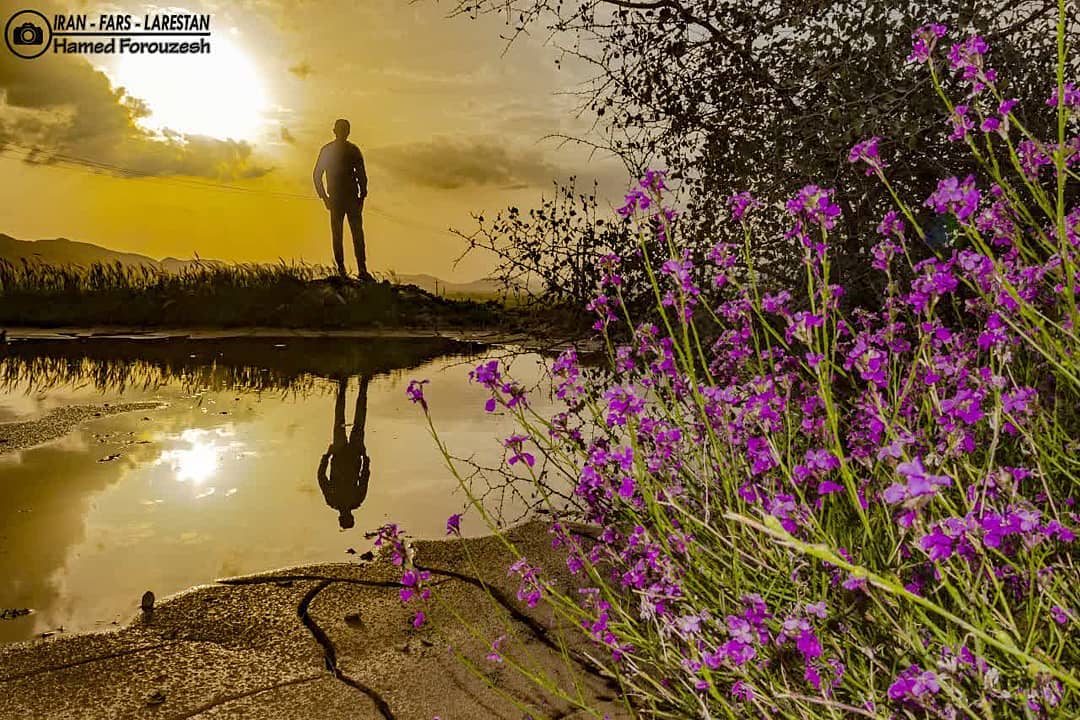 تصویر وجود ندارد