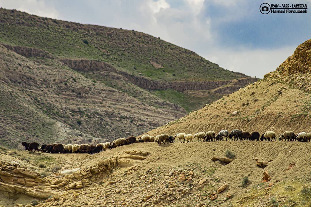 تصویر وجود ندارد